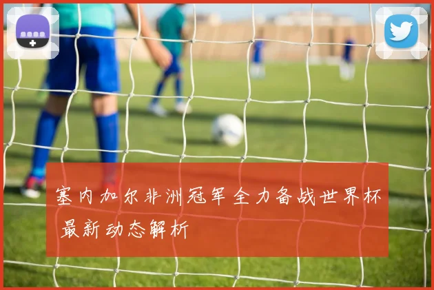 塞内加尔非洲冠军全力备战世界杯 最新动态解析