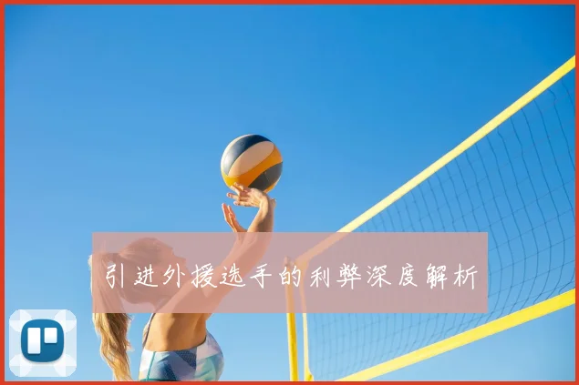 引进外援选手的利弊深度解析