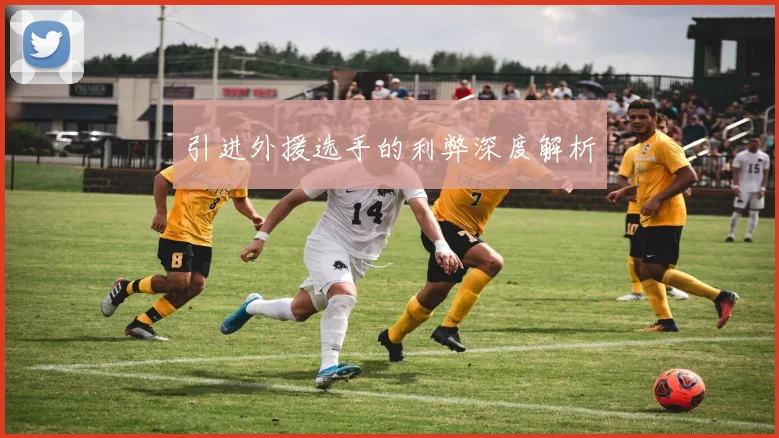 引进外援选手的利弊深度解析